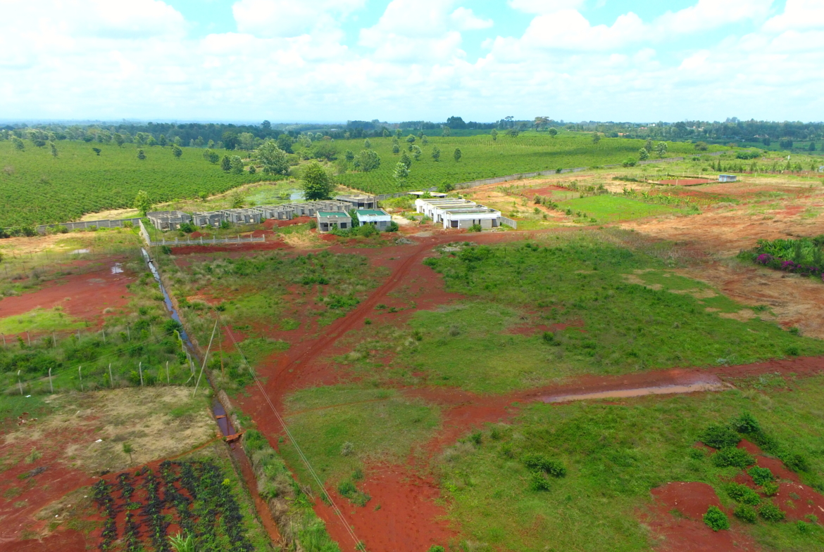 Legacy Ridges Annexe- 1/4 Acre