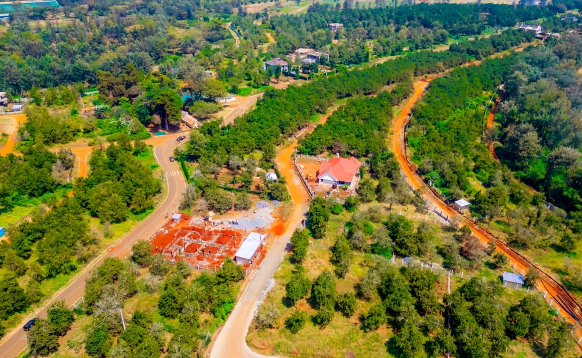 Thika Grove Chania 1/2 Acre Plots