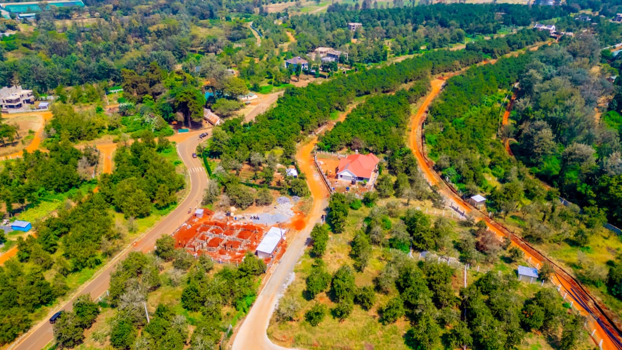Thika Grove Chania 1/2 Acre Plots