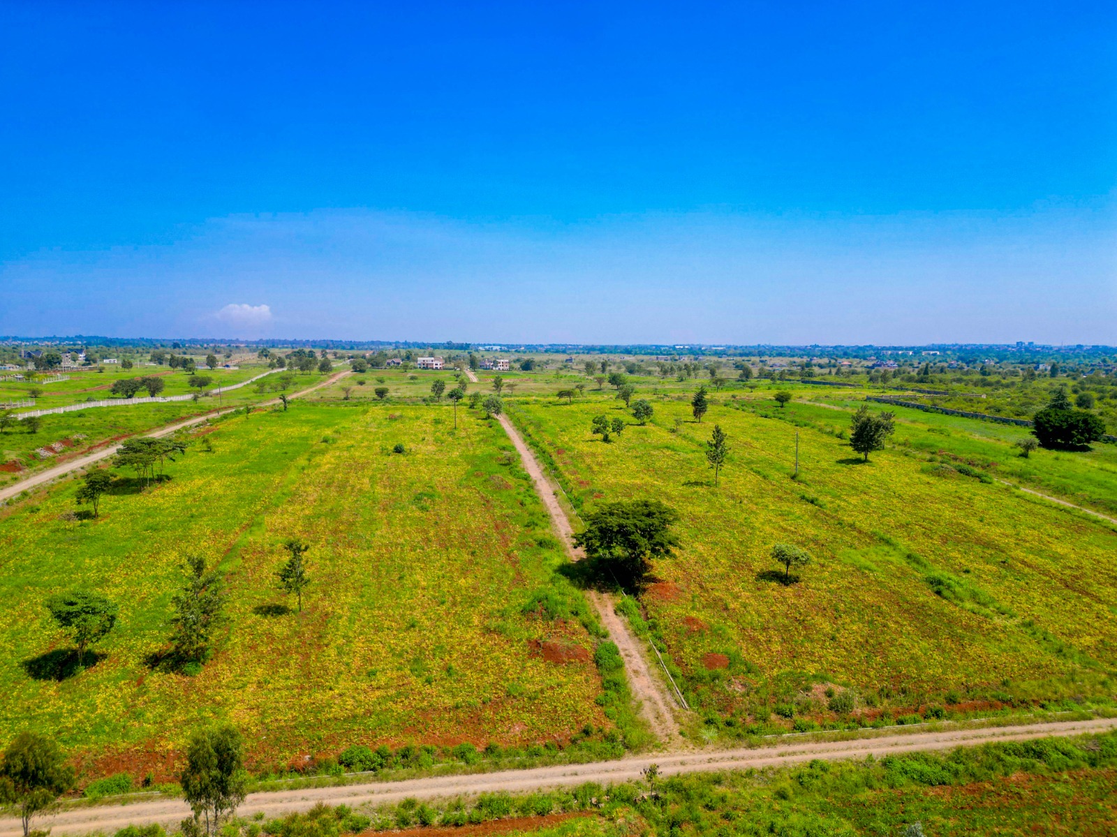 Ruiru Villas – 1/4 Acre Plots for Sale