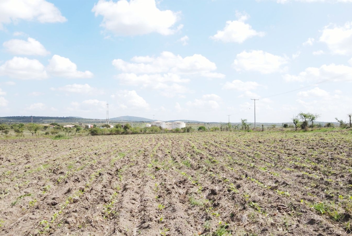 0.75 Acres Prime Land for Sale in Konza – Aimi Ma Kilungu Ranch
