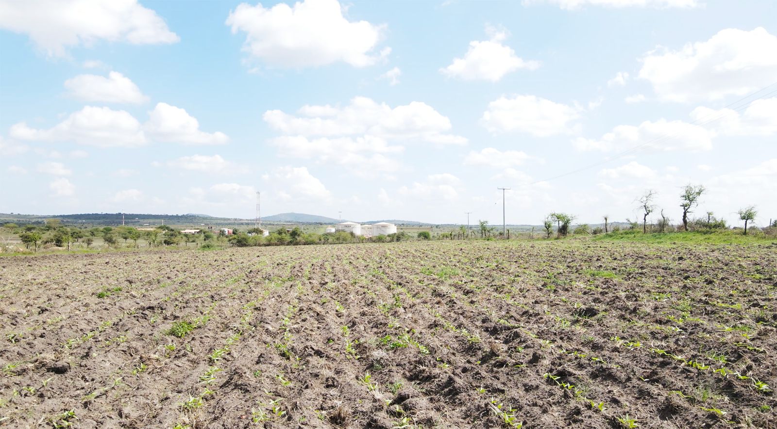 0.75 Acres Prime Land for Sale in Konza – Aimi Ma Kilungu Ranch