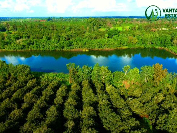 DJI 0441.JPG