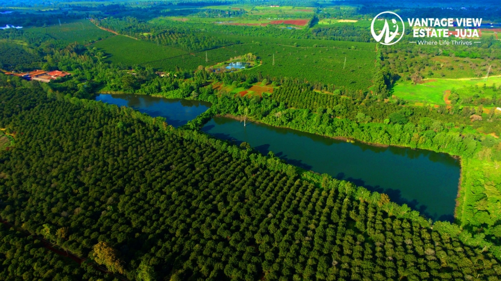 DJI 0453.JPG