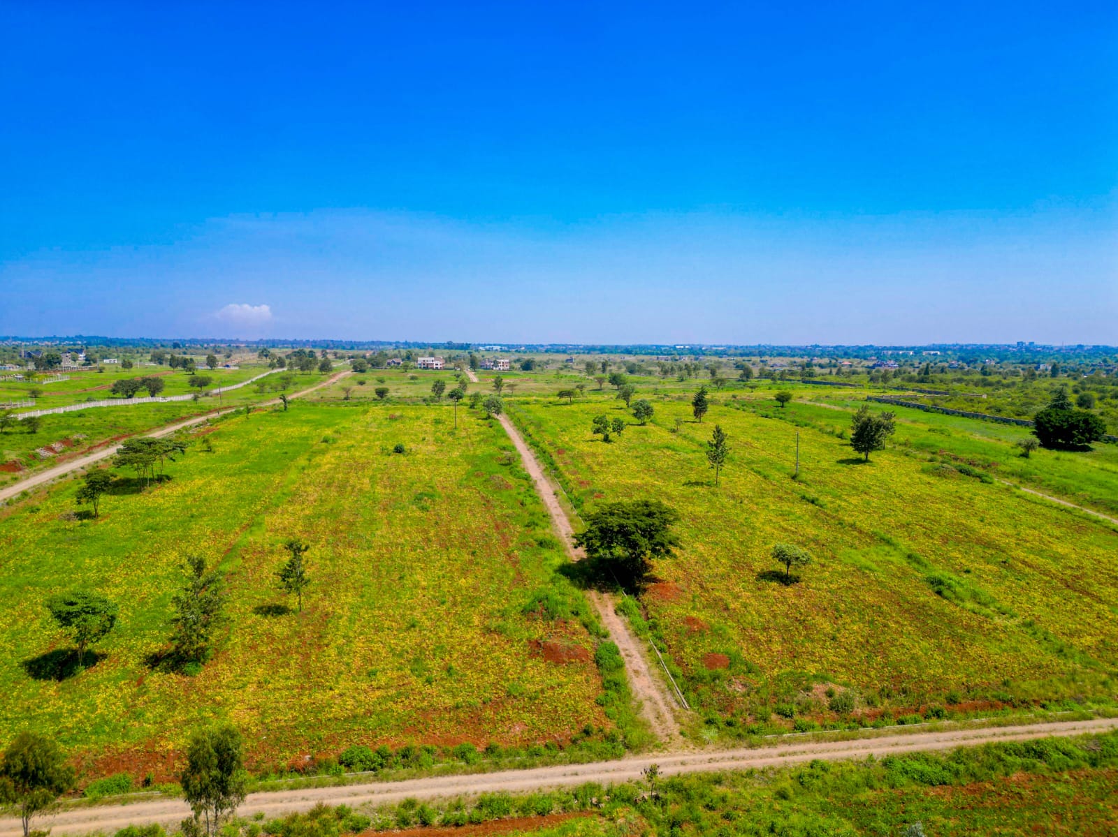 Ruiru Villas – 1/4 Acre Plots for Sale
